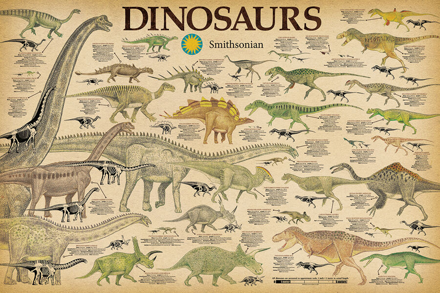 Dinosaurs - Smithsonian Poster 24x36 - Chart School 241203